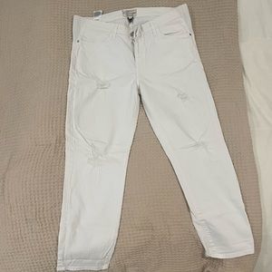 HATCH Maternity Jean